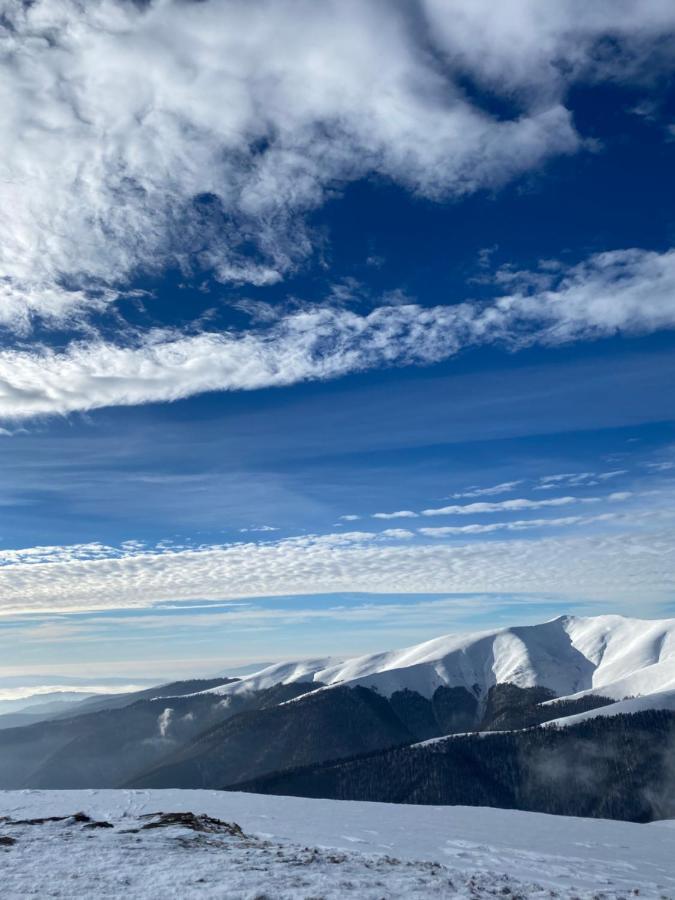 Садиба Between Mountains Mizhhirya  Exterior foto